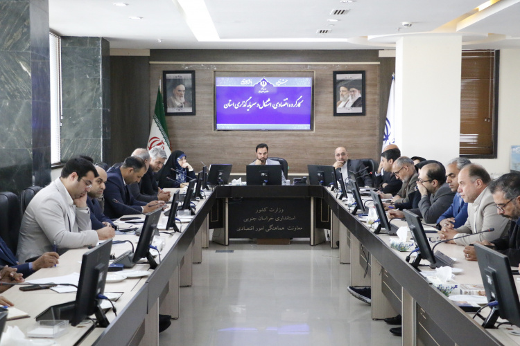 برنامه توسعه دانش بنیان استان خراسان جنوبی در کارگروه اقتصادی، اشتغال و سرمایه گذاری ارائه شد.