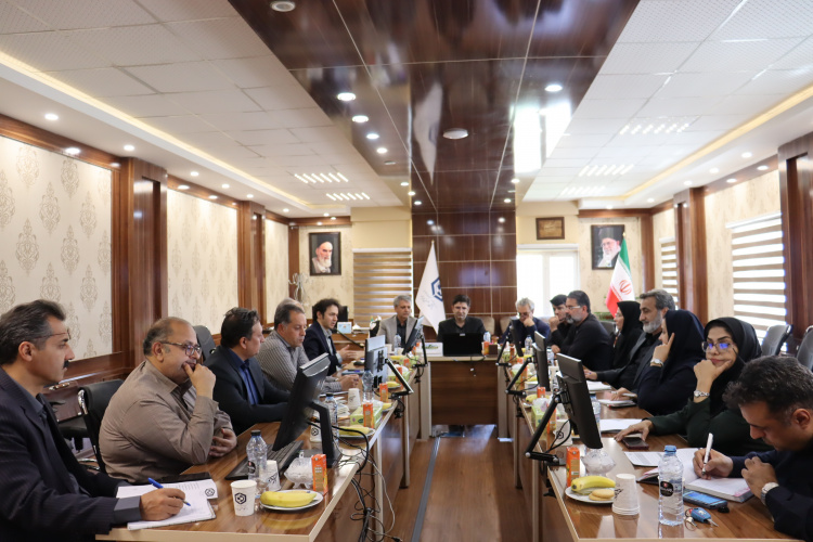 دانشگاه صنعتی بیرجند پیشرو در توسعه صنعت گوهرسنگ استان : نشست کمیته مطالعات و تحقیق کارگروه سنگ‌های قیمتی و نیمه قیمتی